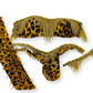 Tess Leopard